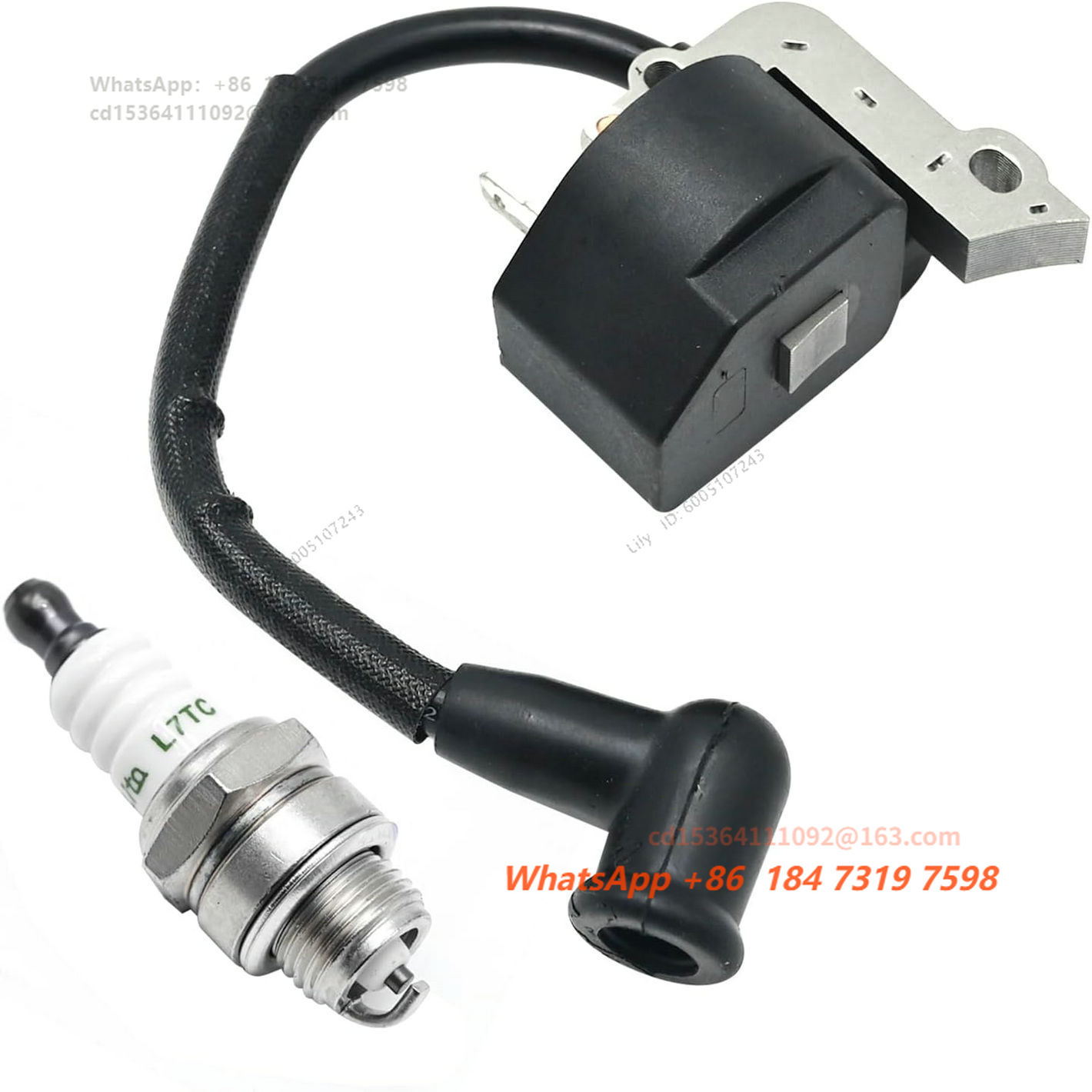Ensemble bobine d'allumage hau - Spark Plug avis et prix